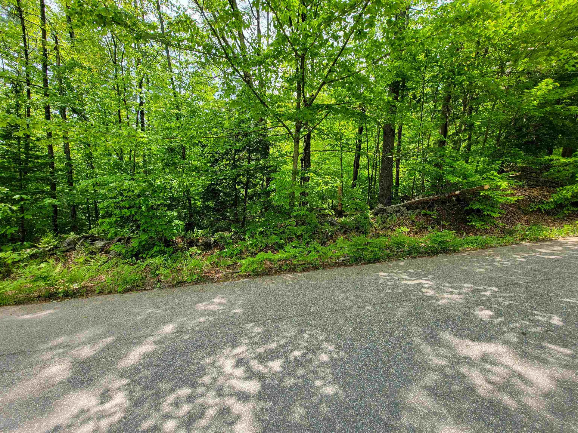 1105 South Hill Road Jamaica VT 05343