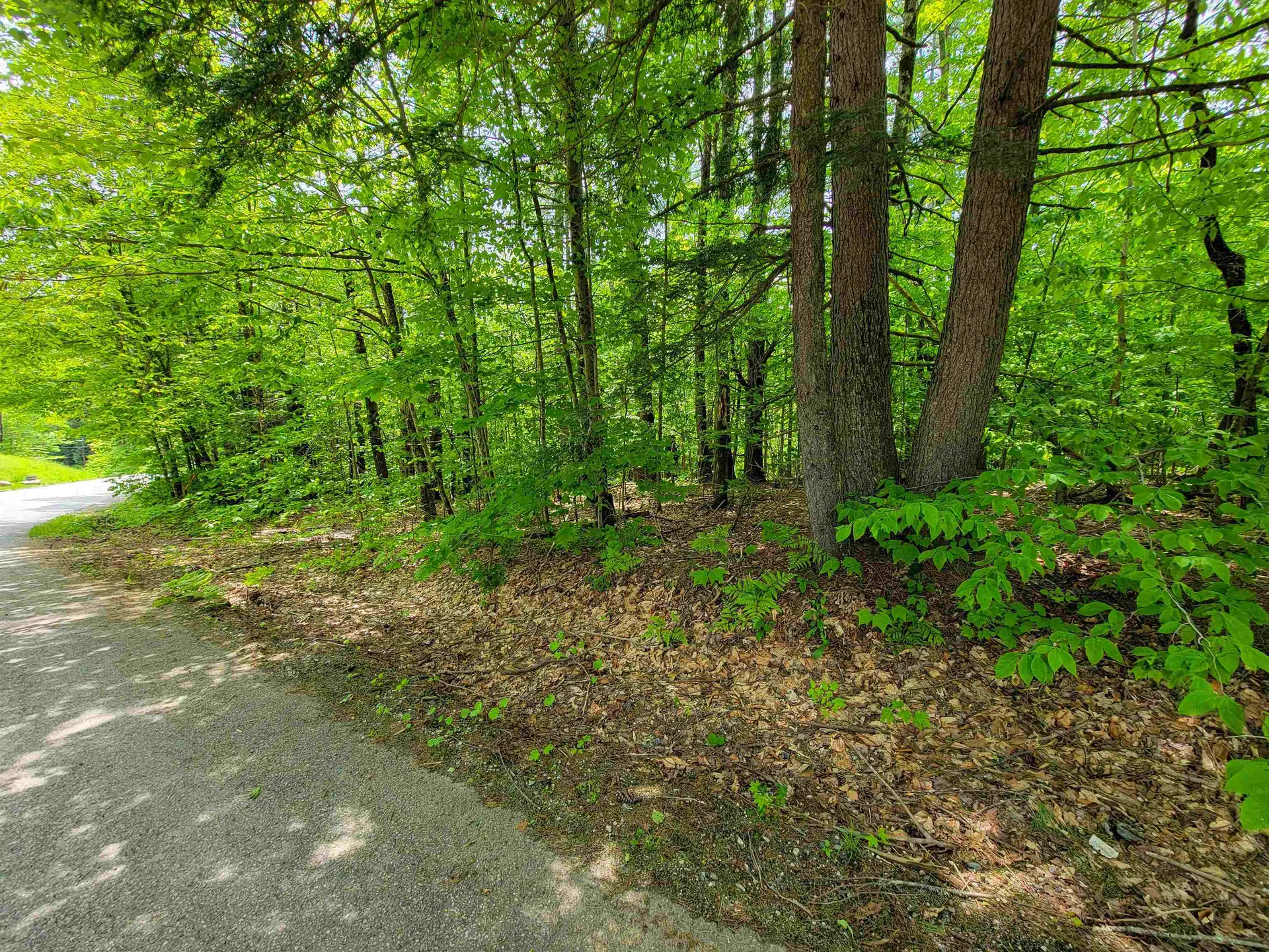 1105 South Hill Road Jamaica VT 05343