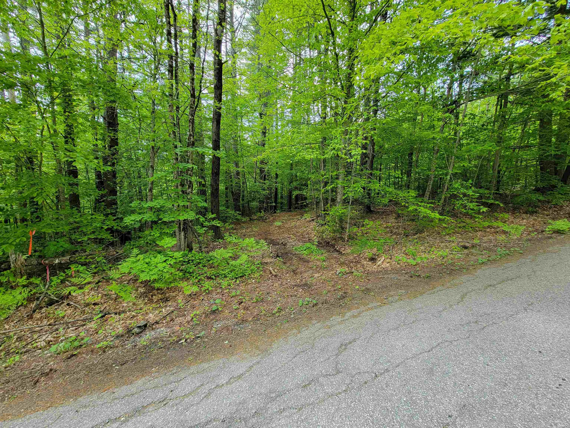 1105 South Hill Road Jamaica VT 05343