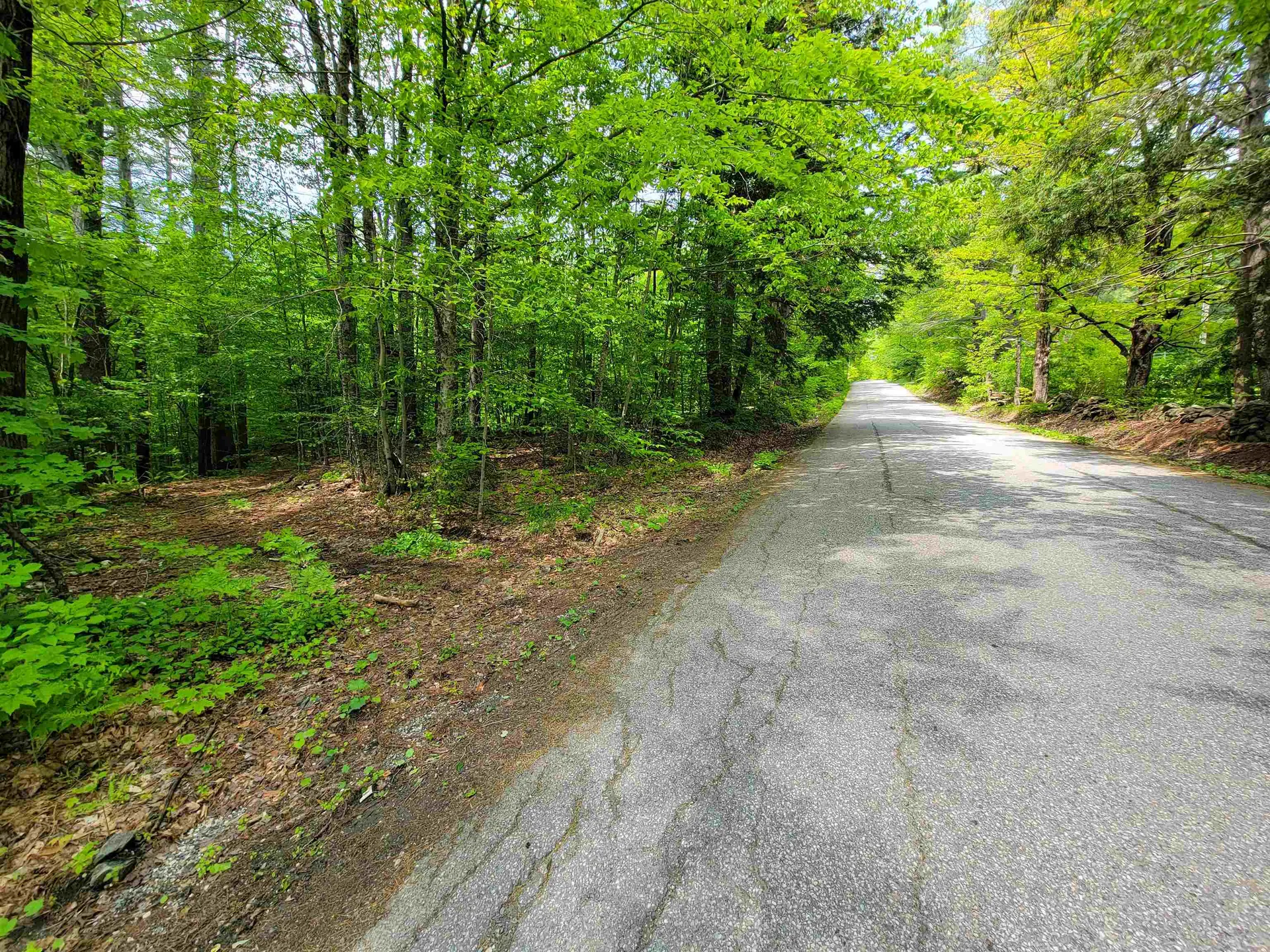 1105 South Hill Road Jamaica VT 05343