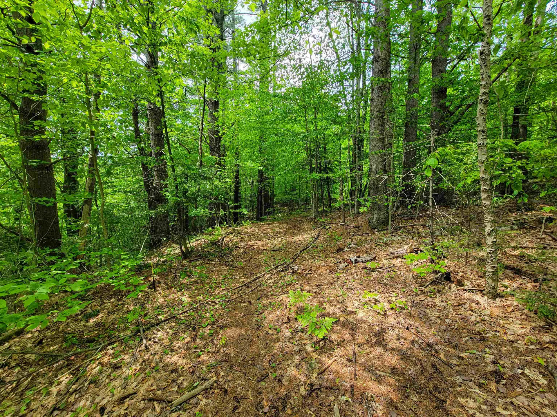 1105 South Hill Road Jamaica VT 05343