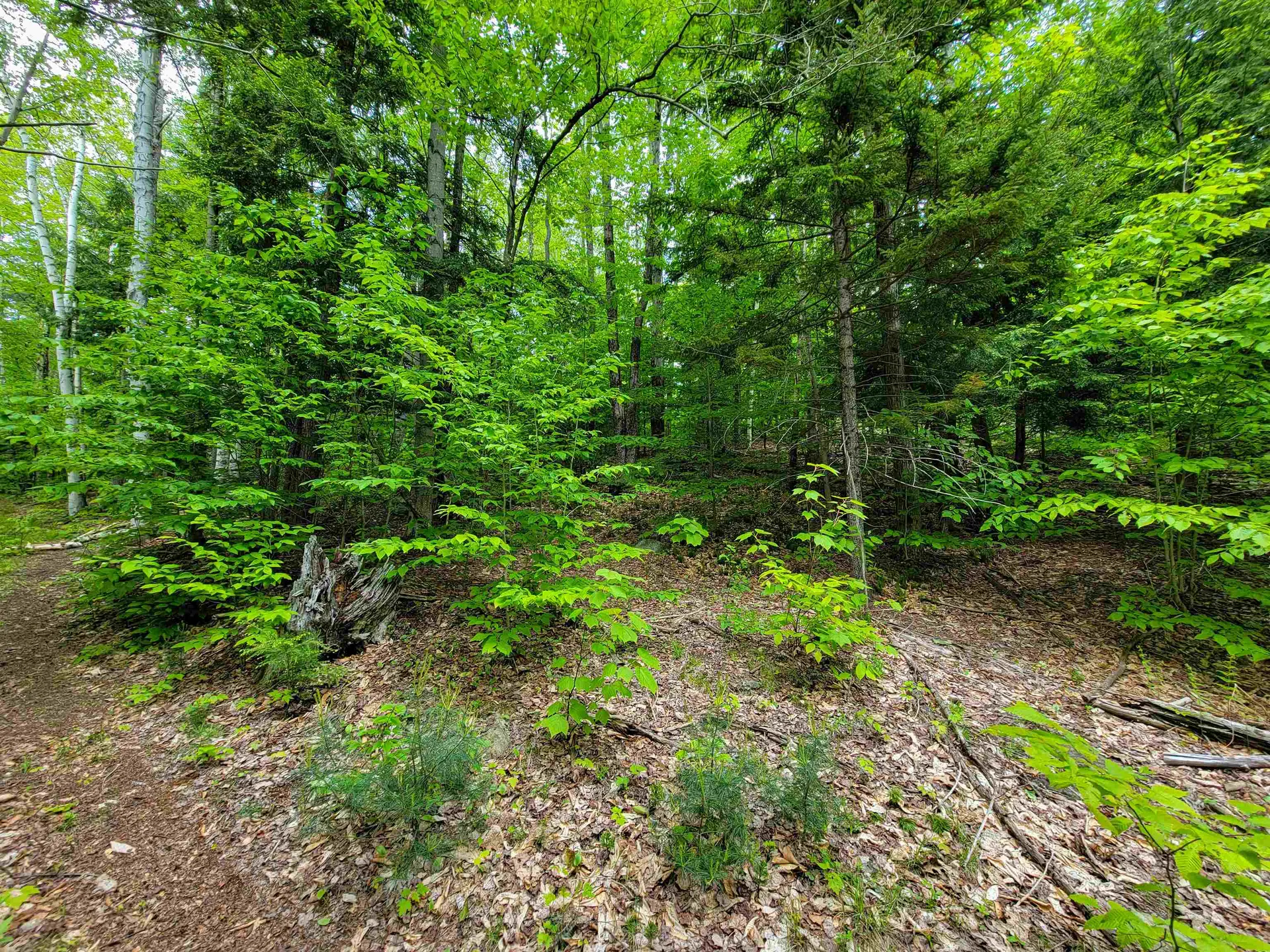 1105 South Hill Road Jamaica VT 05343