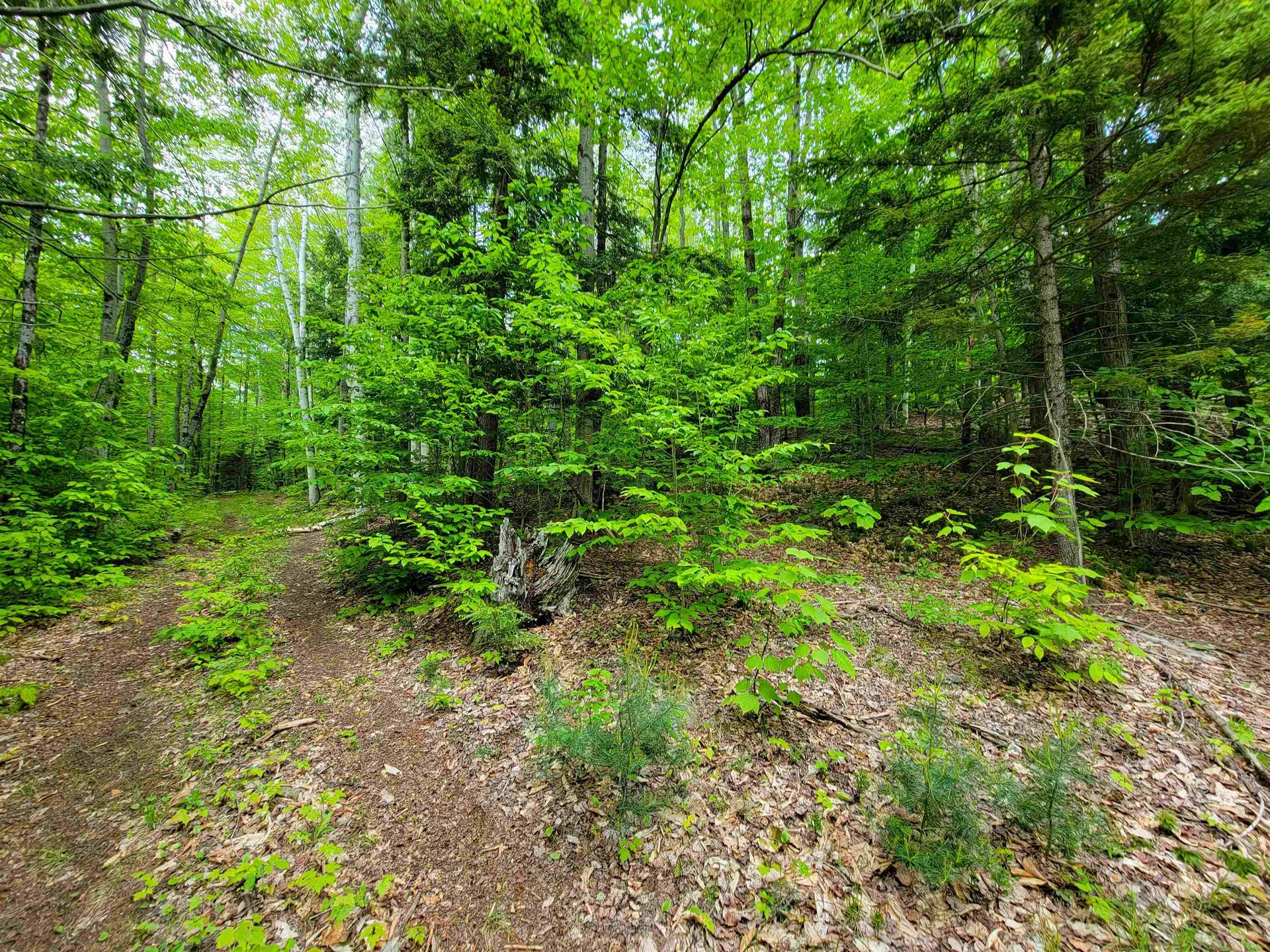 1105 South Hill Road Jamaica VT 05343