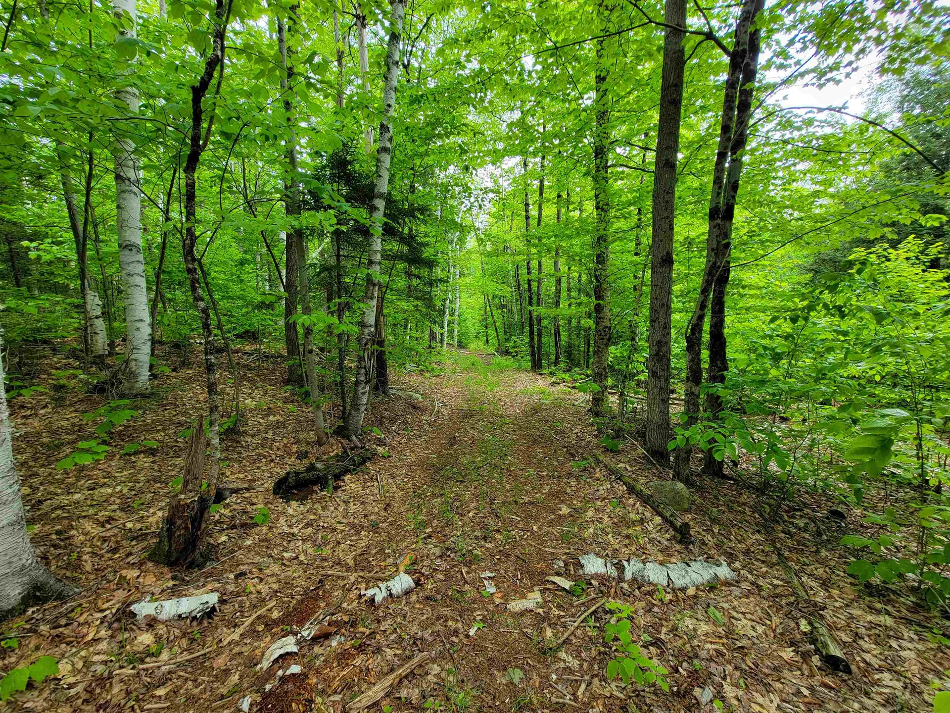 1105 South Hill Road Jamaica VT 05343