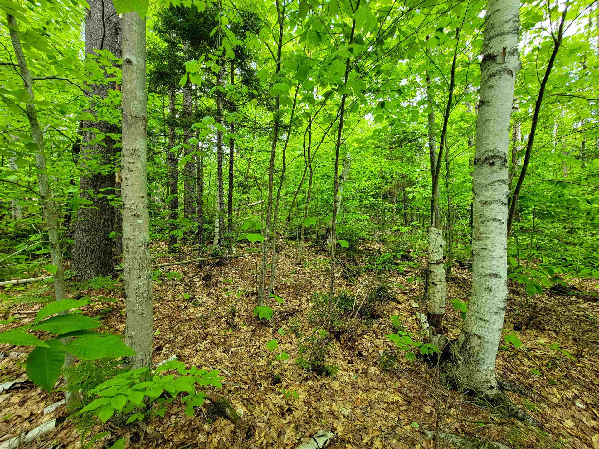 1105 South Hill Road Jamaica VT 05343