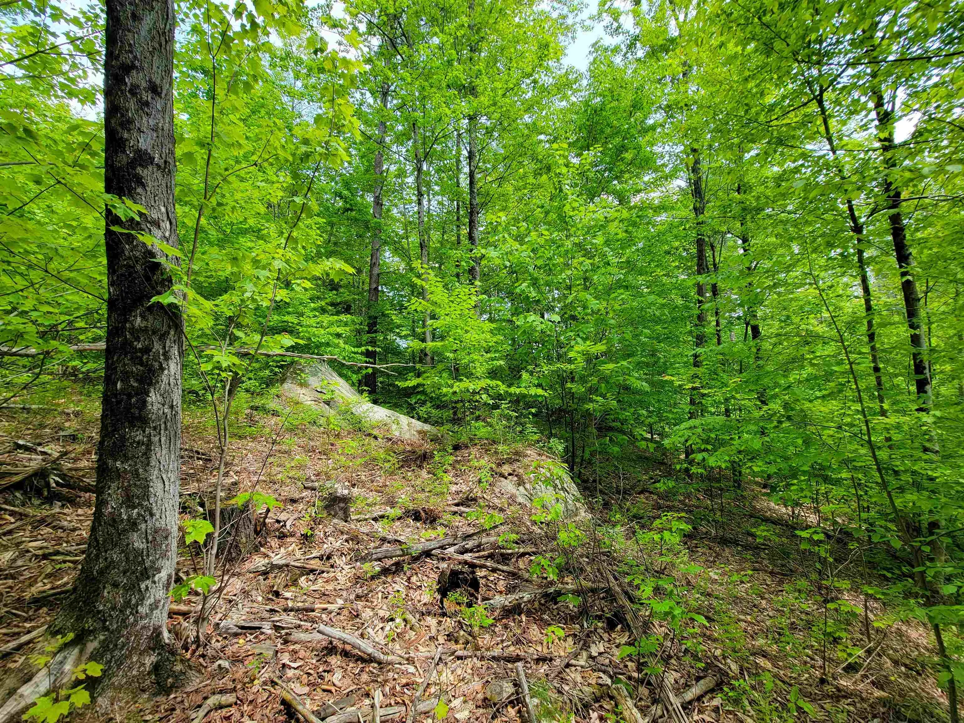 1105 South Hill Road Jamaica VT 05343