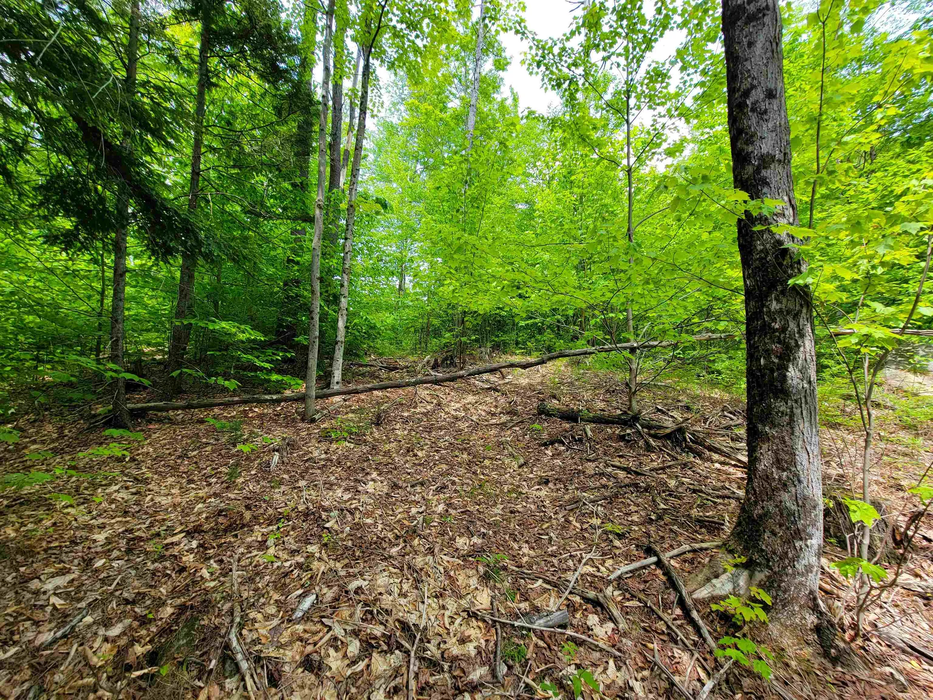 1105 South Hill Road Jamaica VT 05343