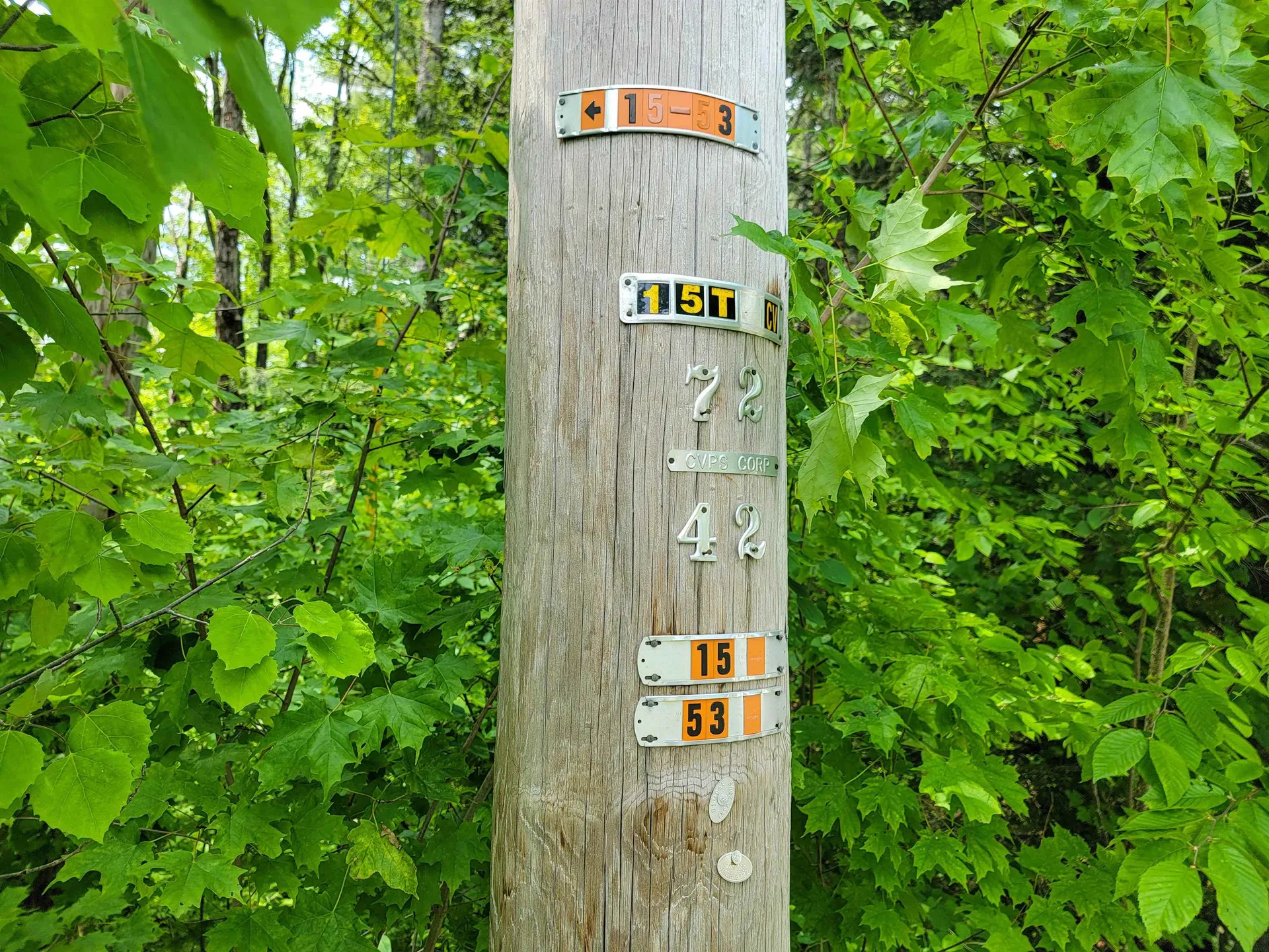 1105 South Hill Road Jamaica VT 05343