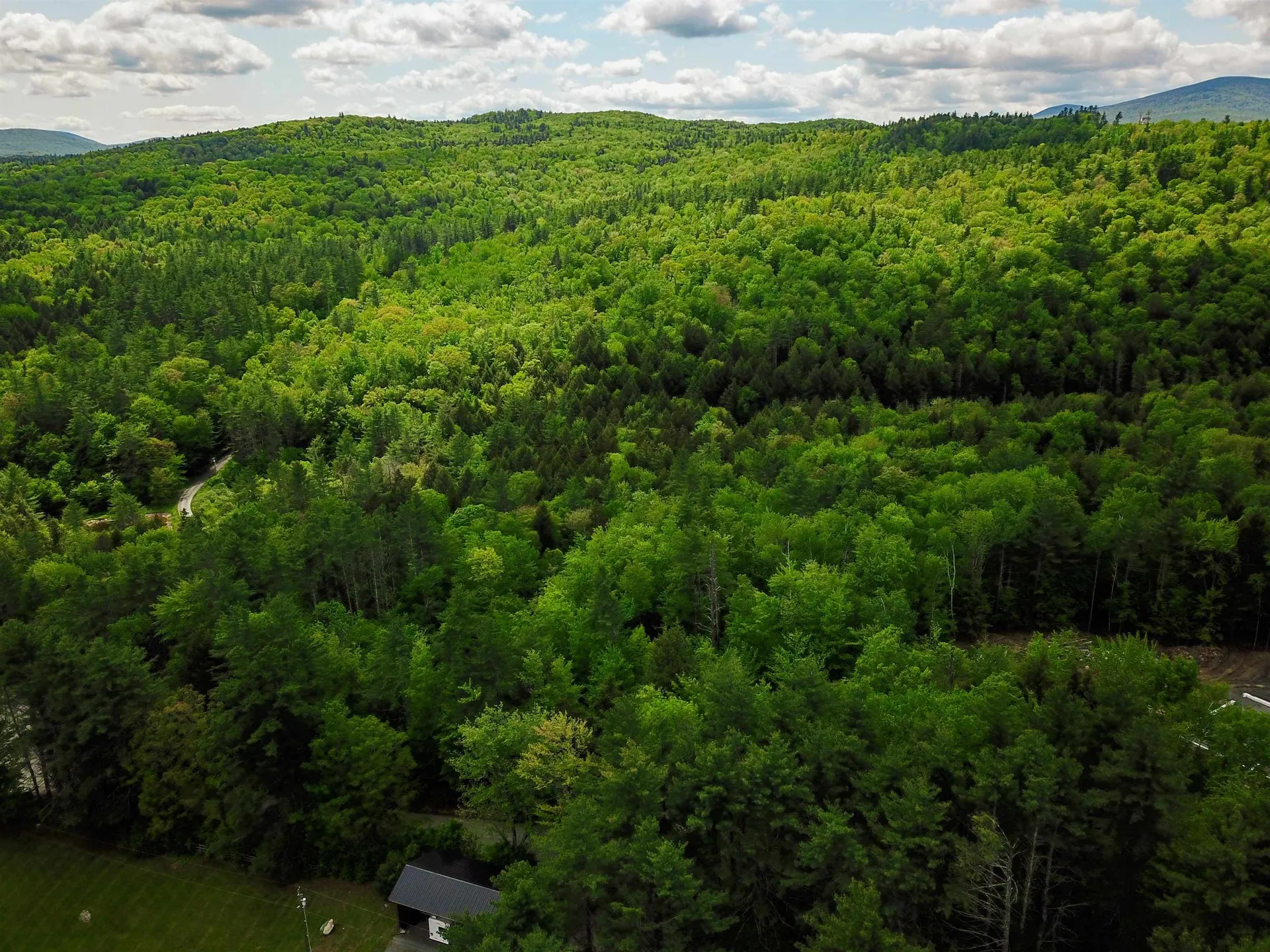 1105 South Hill Road Jamaica VT 05343