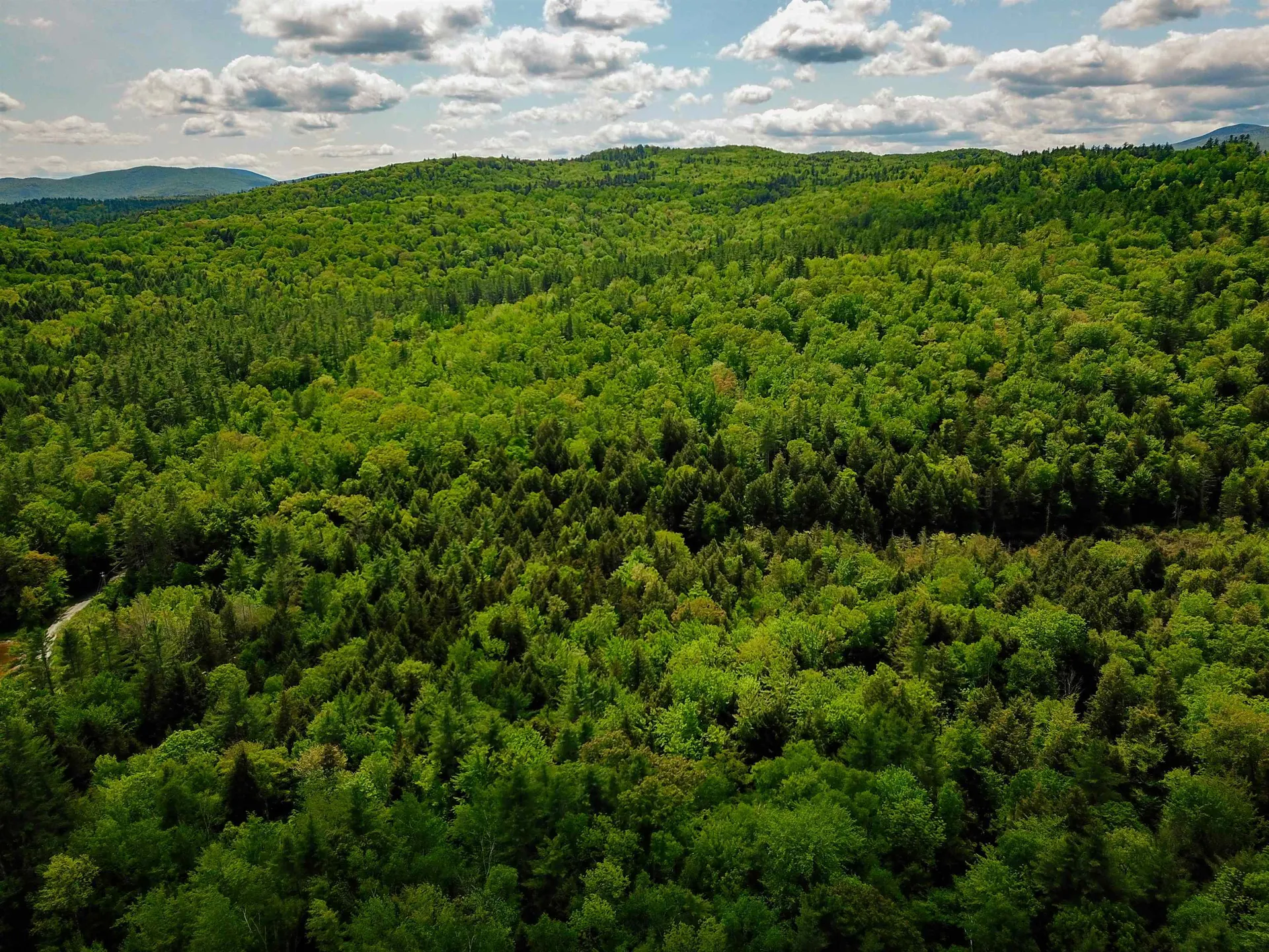 1105 South Hill Road Jamaica VT 05343