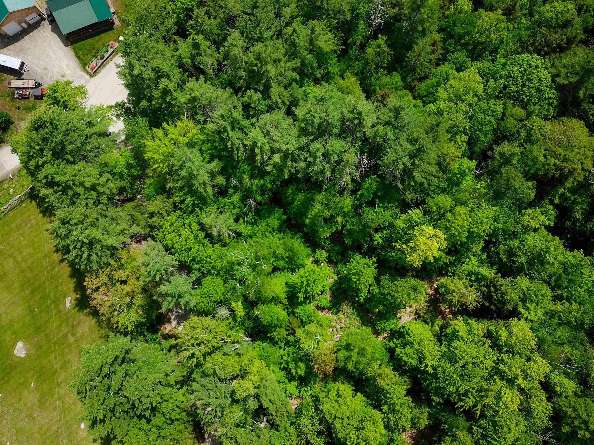 1105 South Hill Road Jamaica VT 05343