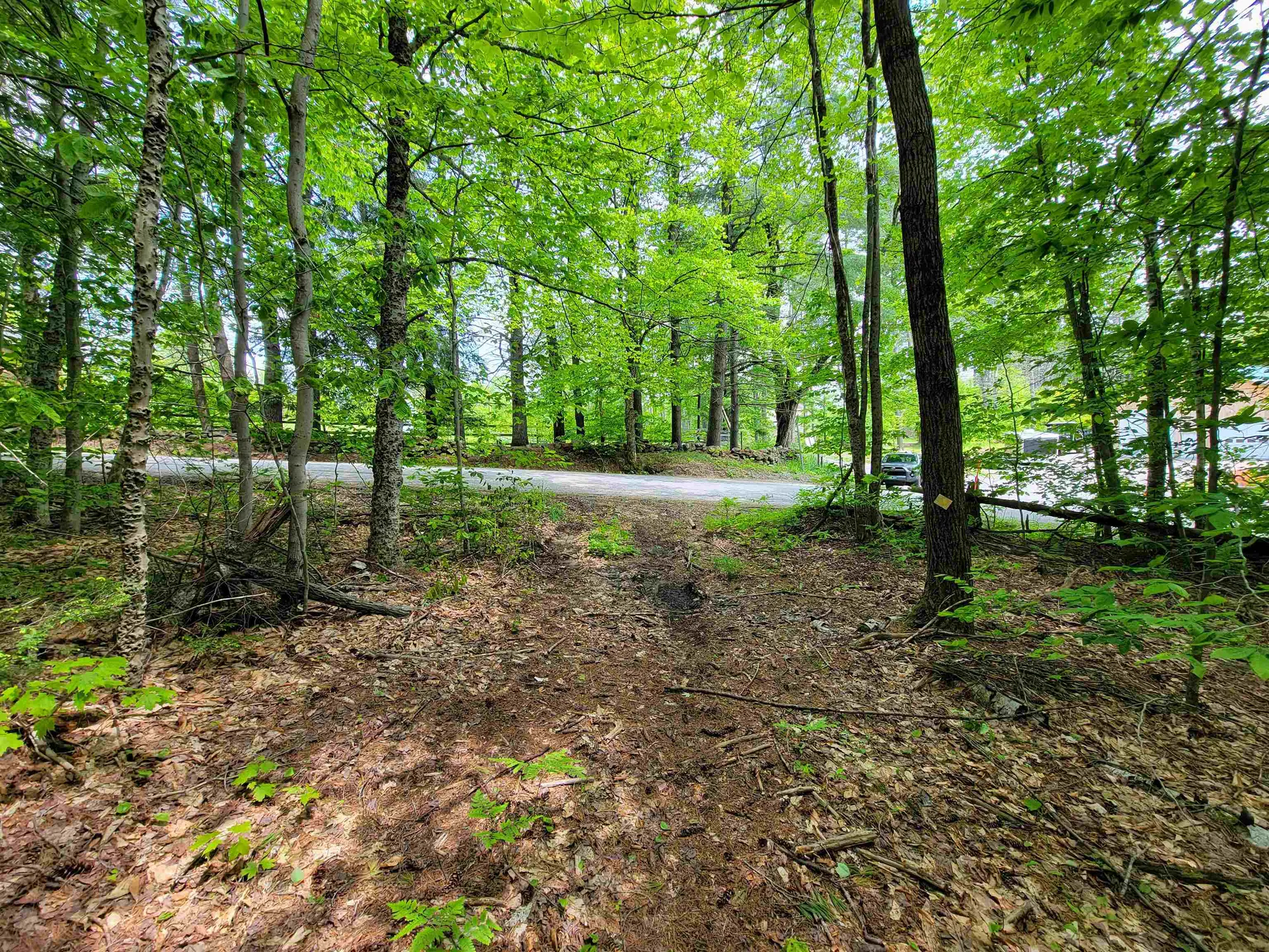 1105 South Hill Road Jamaica VT 05343