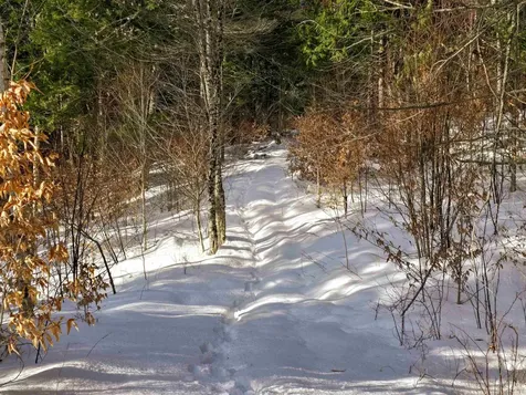 1105 South Hill Road Jamaica VT 05343
