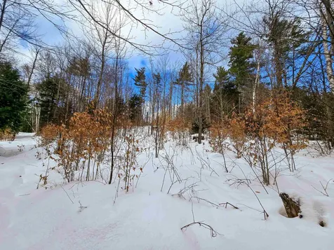 1105 South Hill Road Jamaica VT 05343