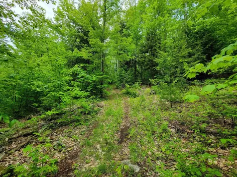1105 South Hill Road Jamaica VT 05343