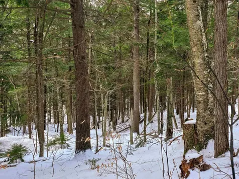 1105 South Hill Road Jamaica VT 05343