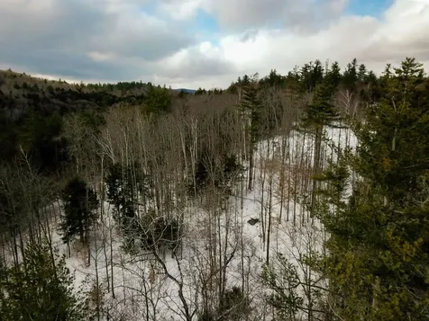 1105 South Hill Road Jamaica VT 05343