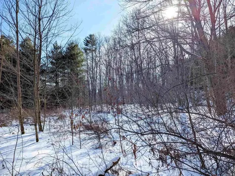 9 Rydon Acres Brandon VT 05733