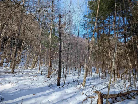 9 Rydon Acres Brandon VT 05733