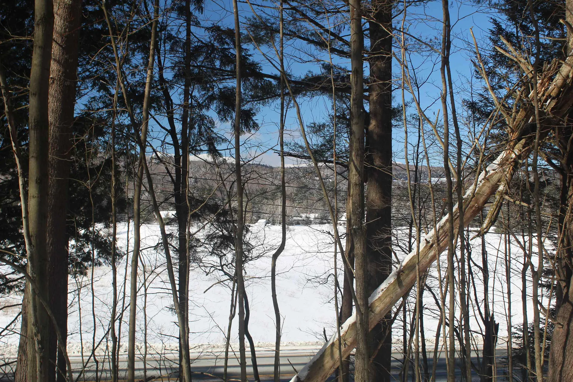 138 Mayo Road Morristown VT 05661-0000