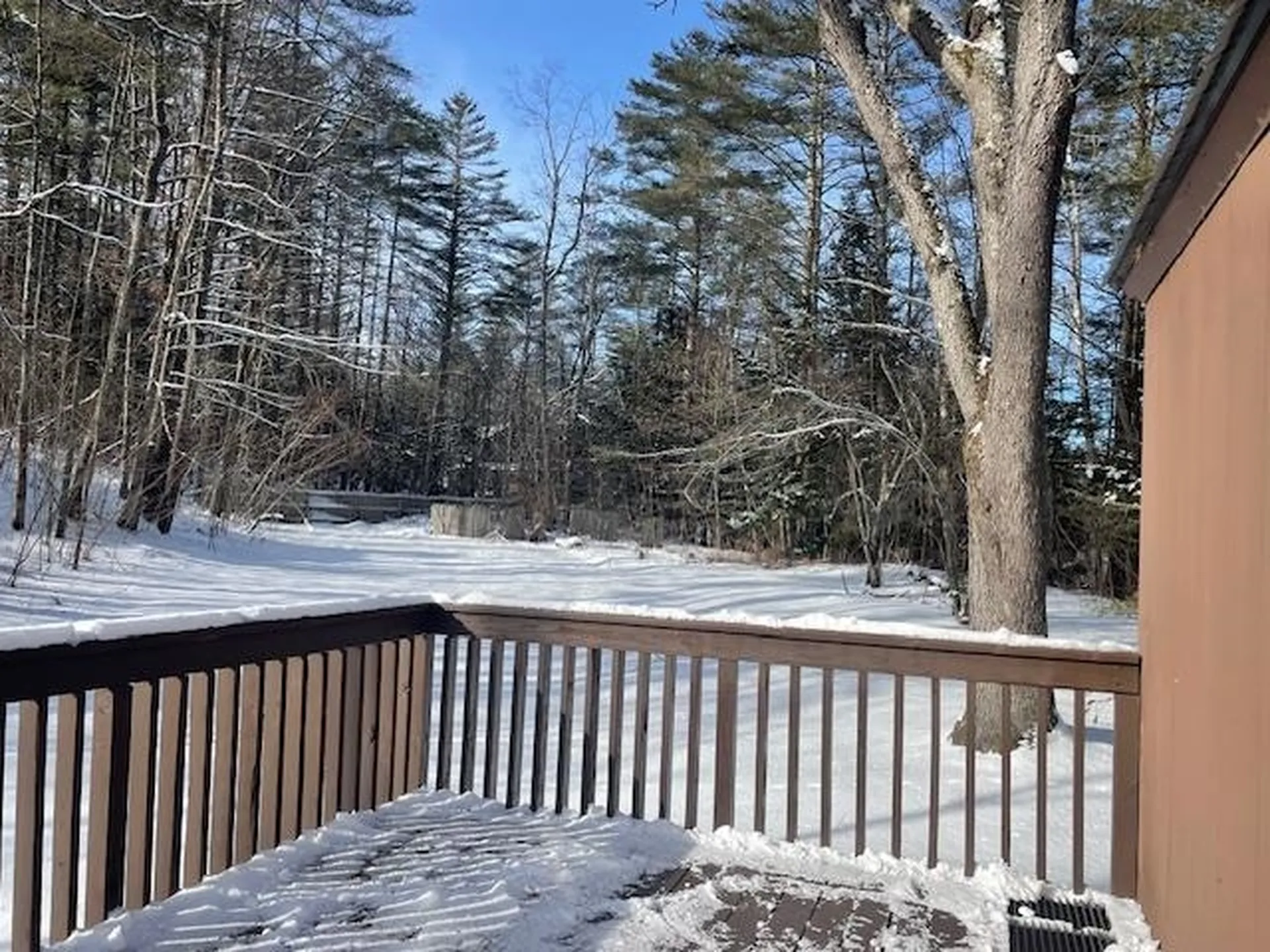 162 Upper Bear Lane Jamaica VT 05343