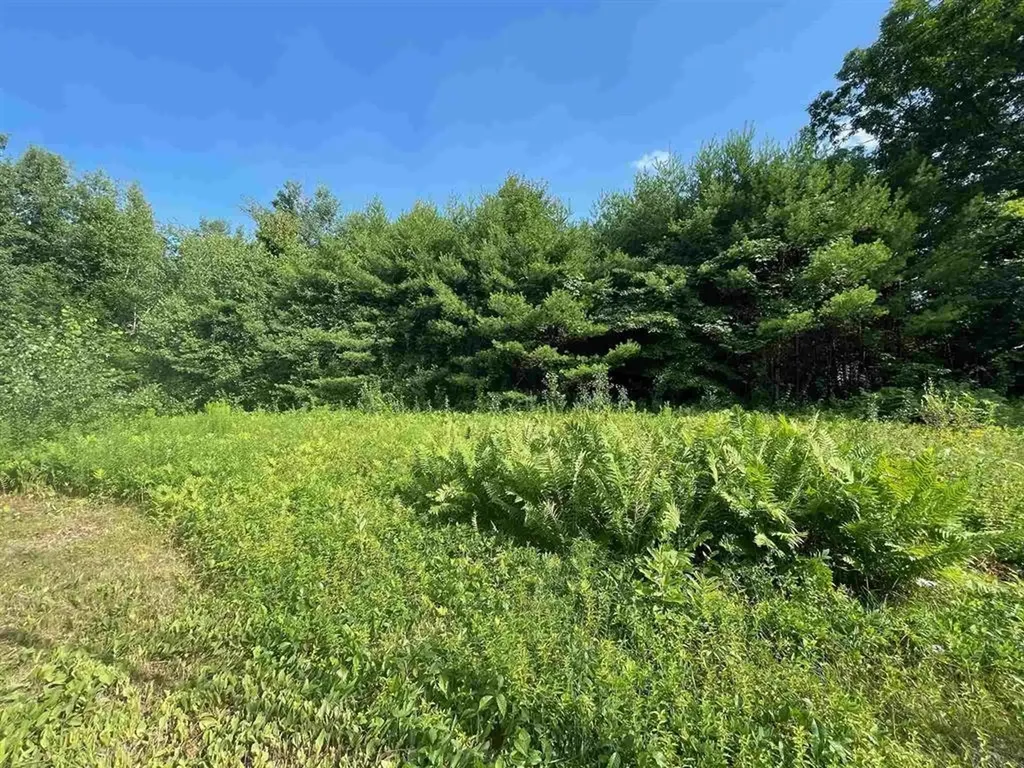 11 Redding Lane Moultonborough NH 03254
