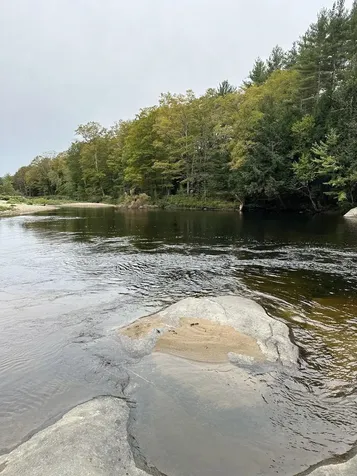 2425 Buffalo Road Rumney NH 03266