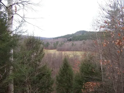 2425 Buffalo Road Rumney NH 03266