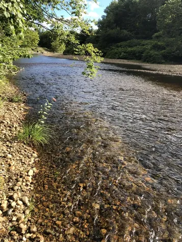 2425 Buffalo Road Rumney NH 03266