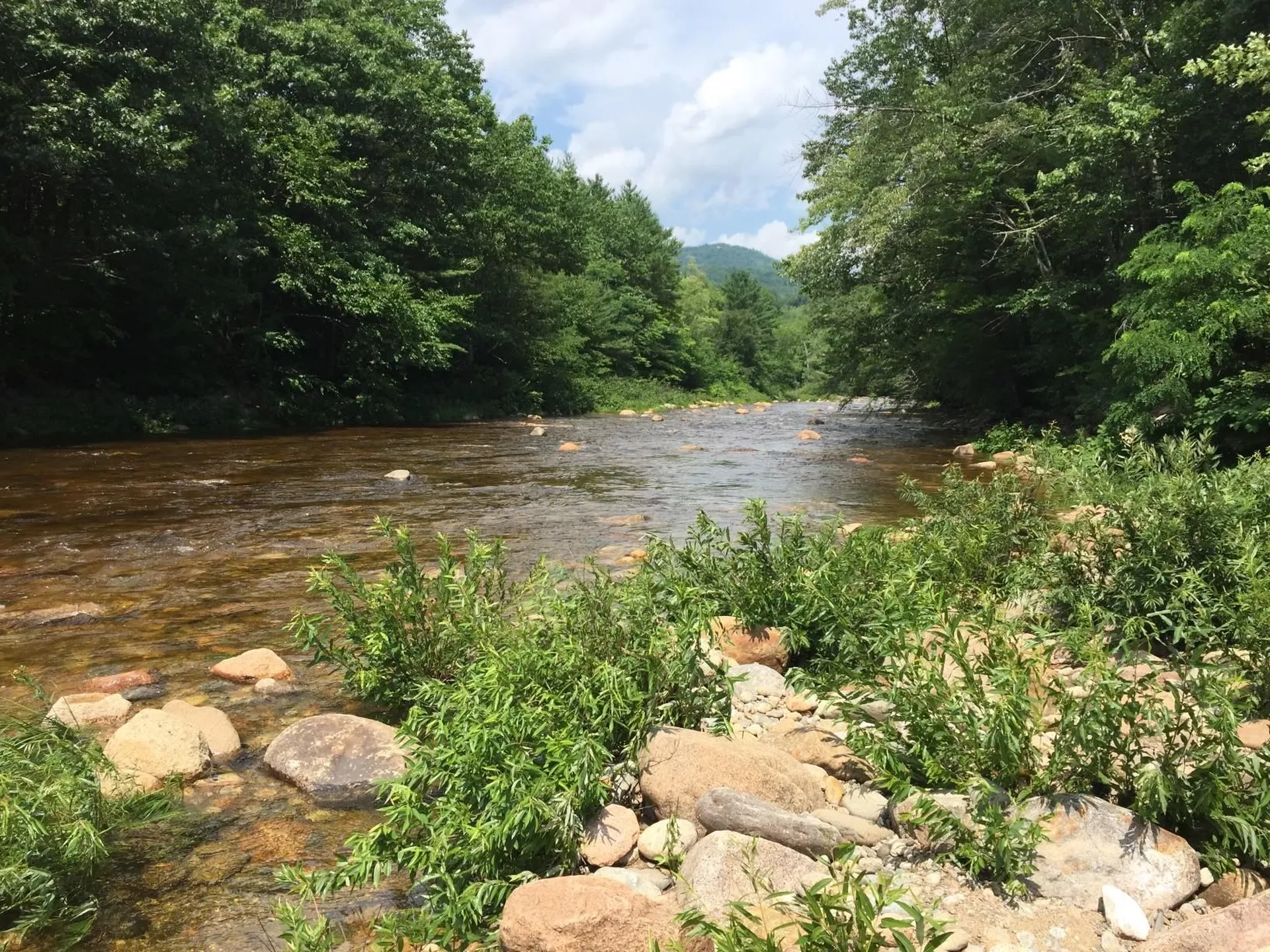 46 Linderhof Golf Course Road Bartlett NH 03838