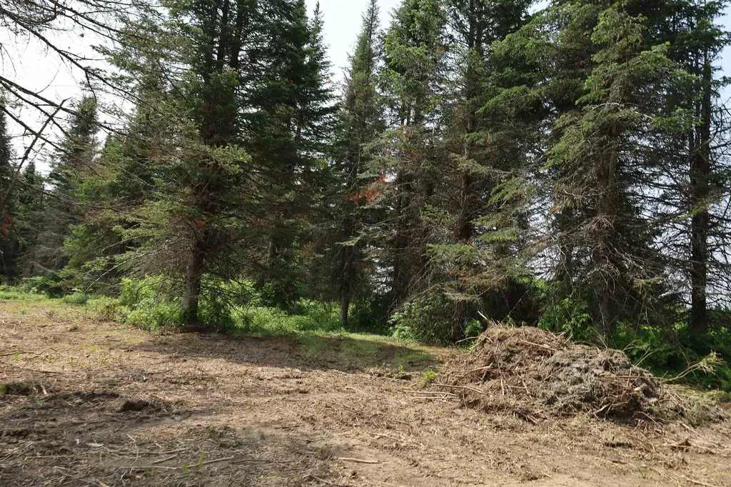 00 Chilafoux Road Charleston VT 05872