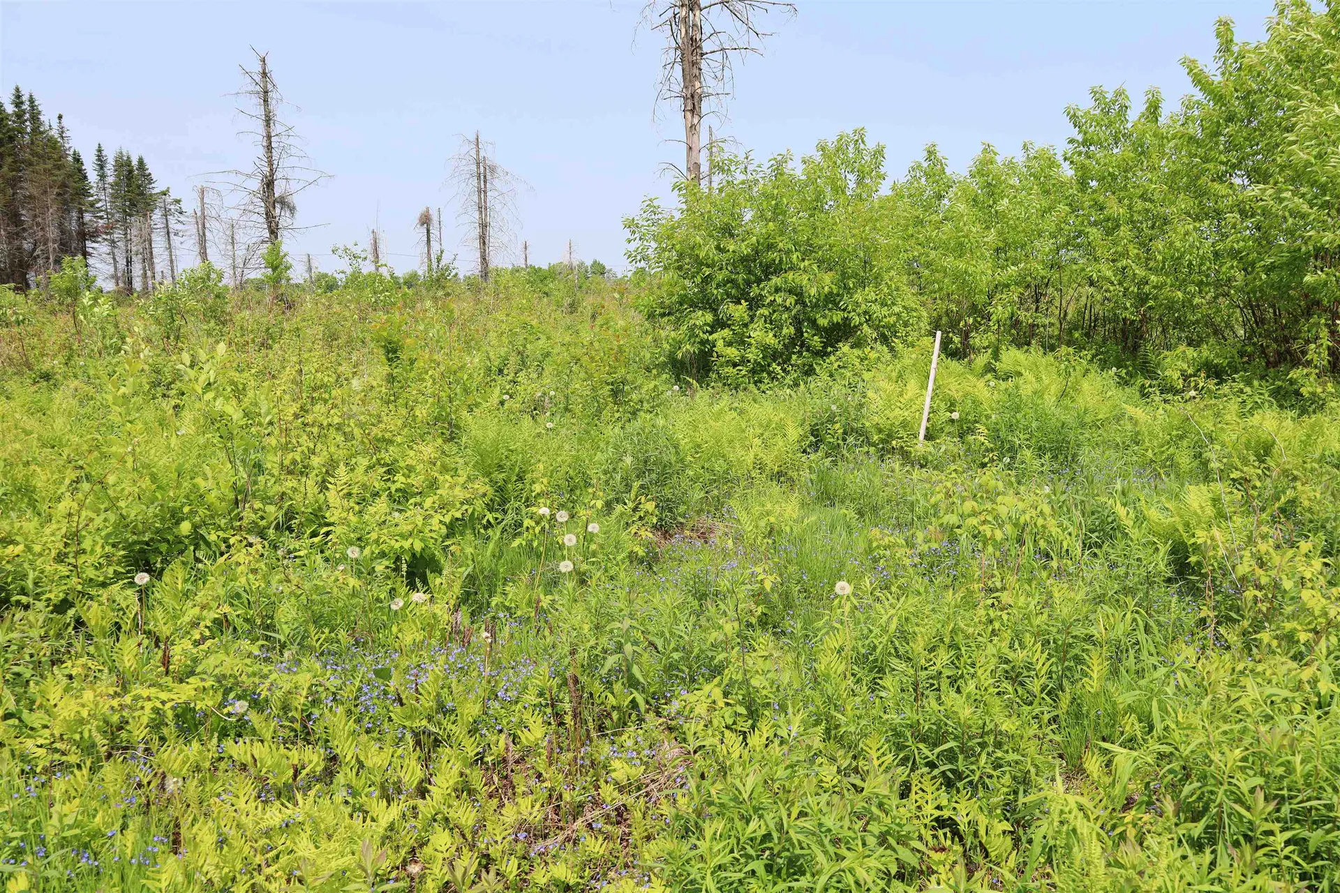 00 Chilafoux Road Charleston VT 05872