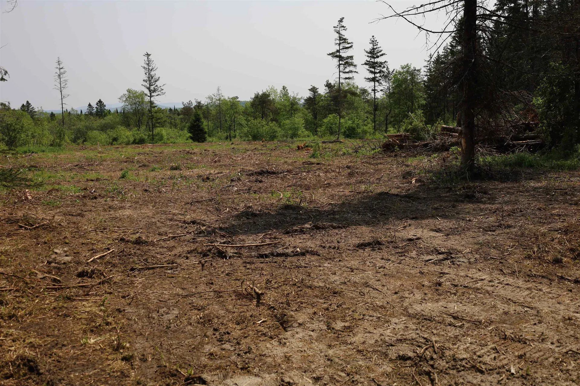 00 Chilafoux Road Charleston VT 05872