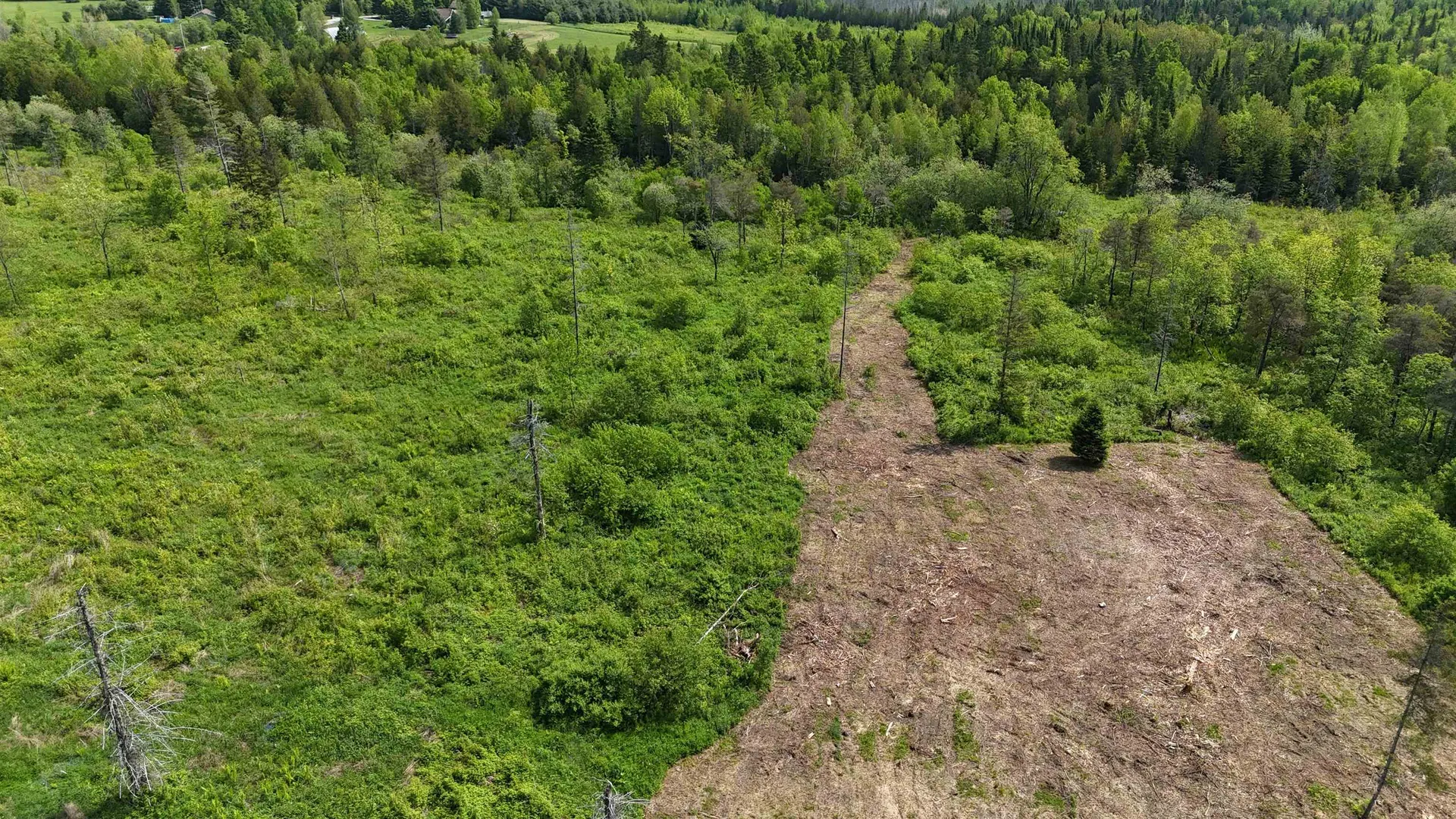 00 Chilafoux Road Charleston VT 05872