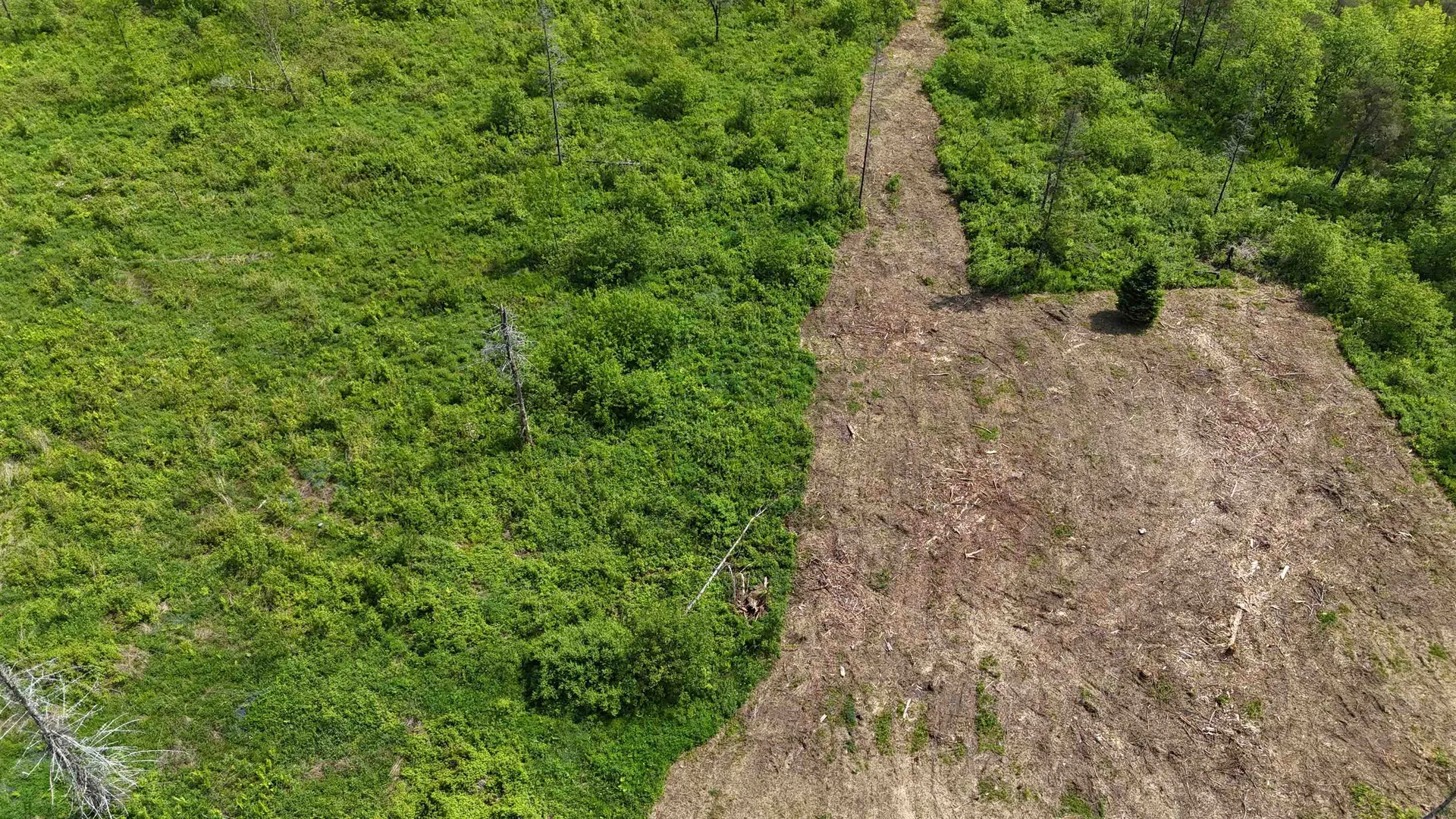 00 Chilafoux Road Charleston VT 05872