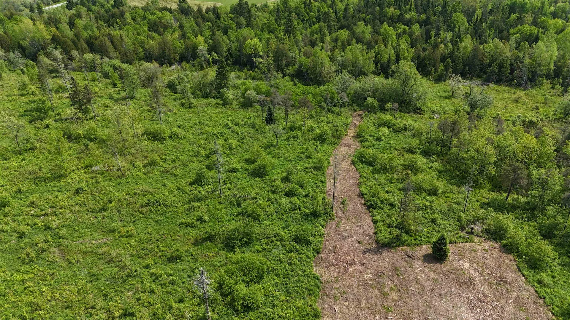 00 Chilafoux Road Charleston VT 05872