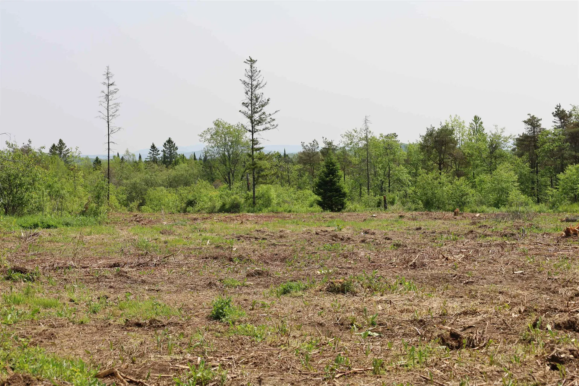 00 Chilafoux Road Charleston VT 05872