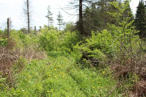 00 Chilafoux Road Charleston VT 05872