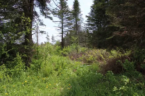 00 Chilafoux Road Charleston VT 05872