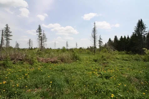 00 Chilafoux Road Charleston VT 05872