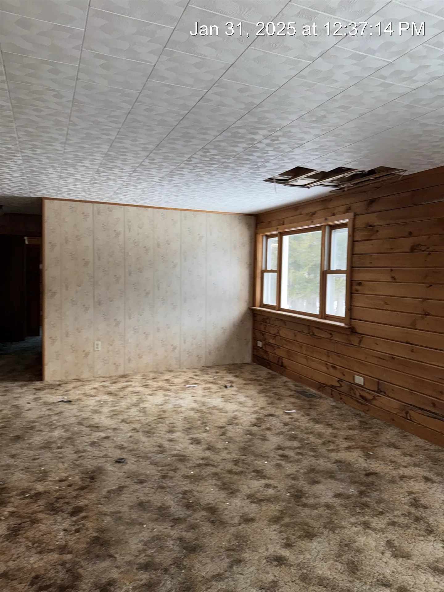 17 Singing Cedars Road Orwell VT 05760
