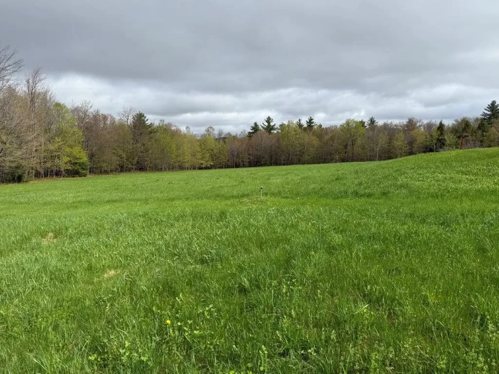 264 Sargent Hill Road Grafton NH 03240