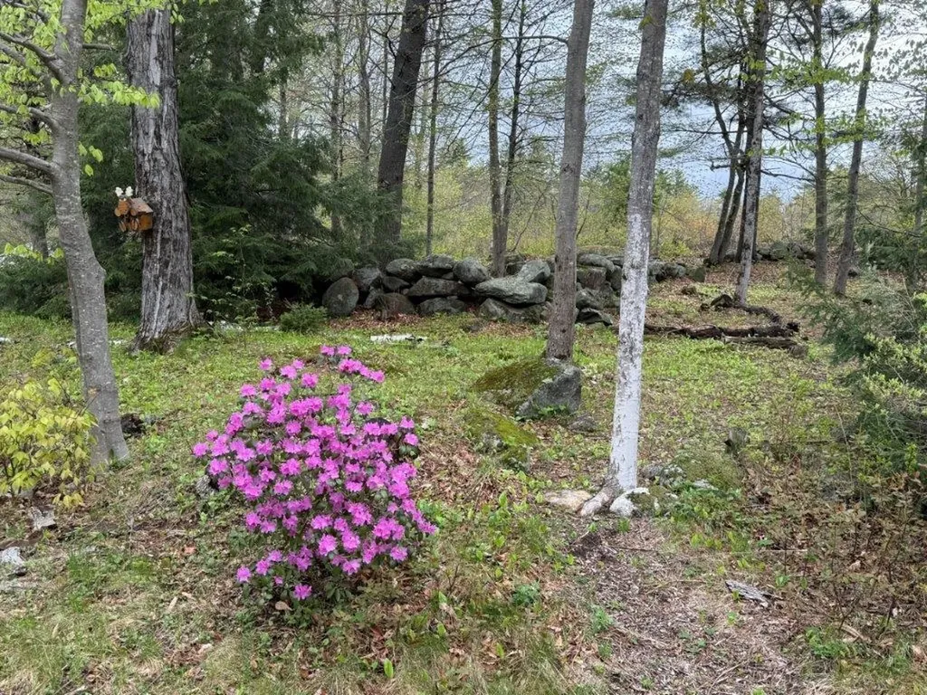 264 Sargent Hill Road Grafton NH 03240