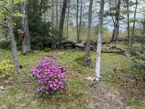 264 Sargent Hill Road Grafton NH 03240