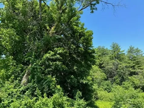 925 Falls Road Shelburne VT 05482