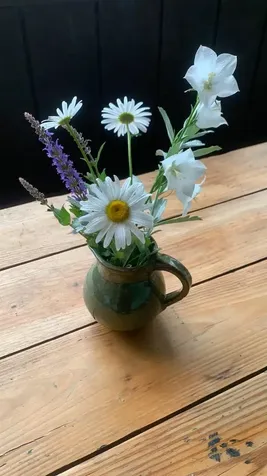 59 Indian Point Road Hebron NH 03241