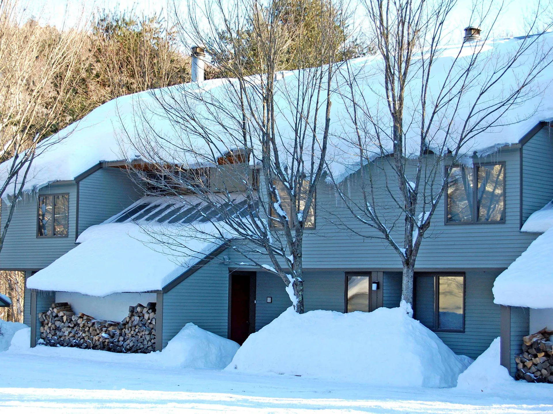 52 Christmas Tree Road Warren VT 05674