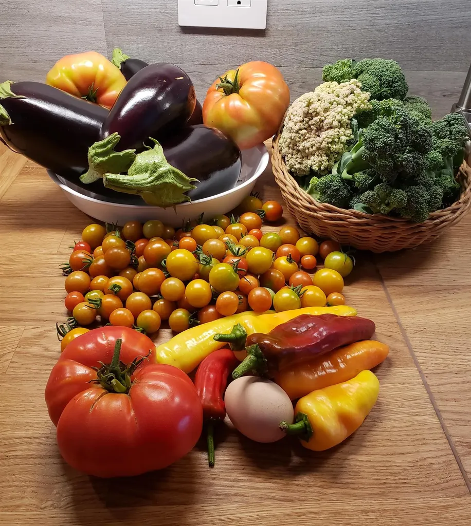 1699 Meadow Street Littleton NH 03561