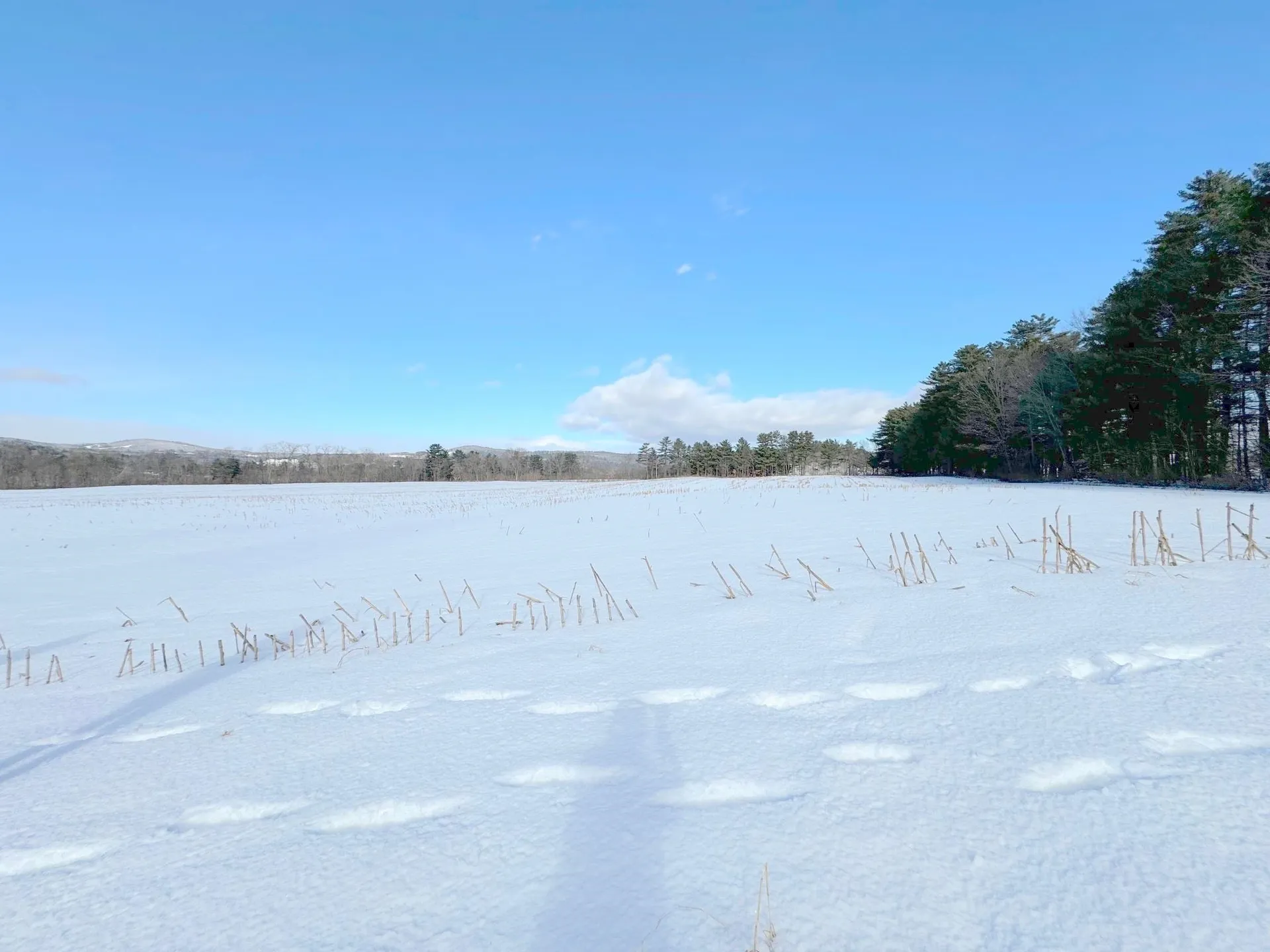 Route 25 Piermont NH 03779