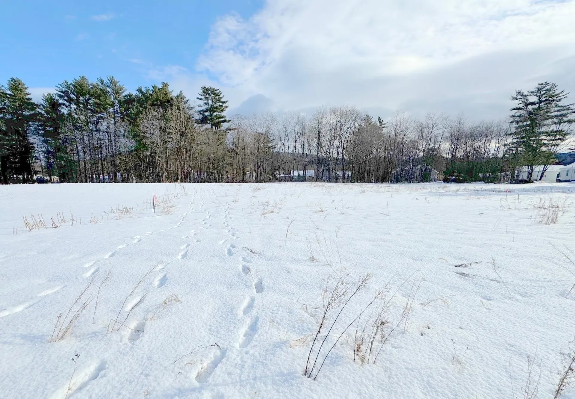 Route 25 Piermont NH 03779